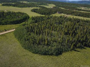 Wild Rye Rd, Fairplay, CO 80440