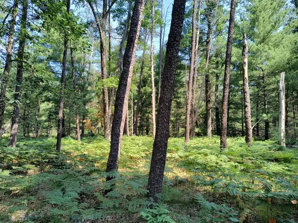 728 W 32nd St Parcel C, Baldwin, MI 49304