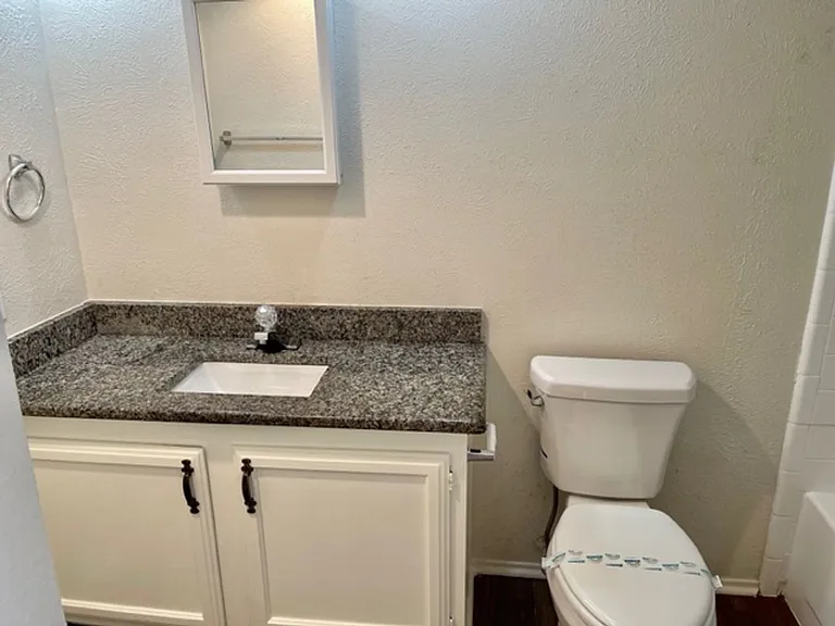 4020 Blue Flag Ln — Photo 19