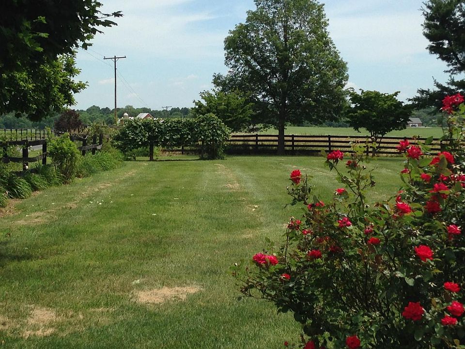 Big yard