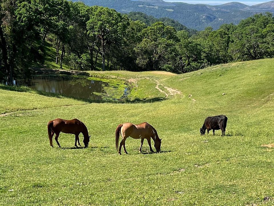 100 Longhorn Ridge Rd, Napa, CA 94558 MLS 323038388 Zillow