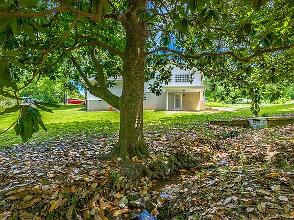 4th image of 4007 Meadow Ln