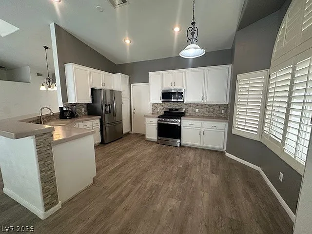 9886 Masked Duck Ave — Photo 10