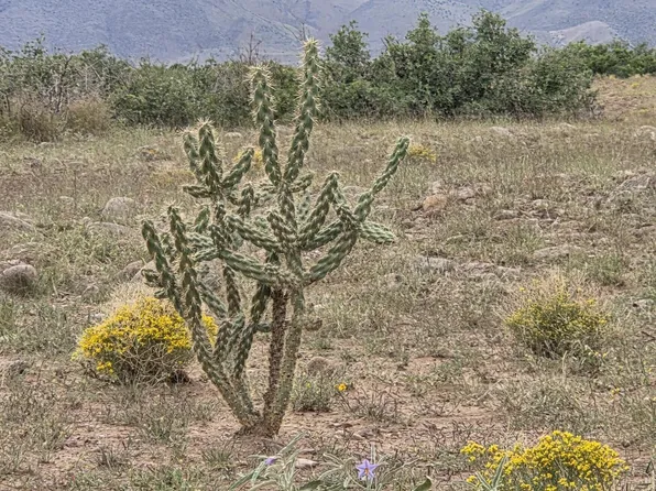 Vl Willow Springs Rnch Lot 2-6, San Antonio, NM 87832