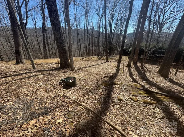395 Sugar Tree Ln, Mars Hill, NC 28754