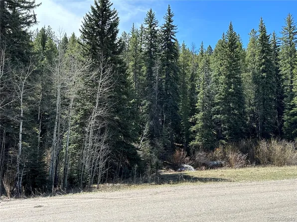 27736 Stagecoach Road LOT 0012, Conifer, CO 80433
