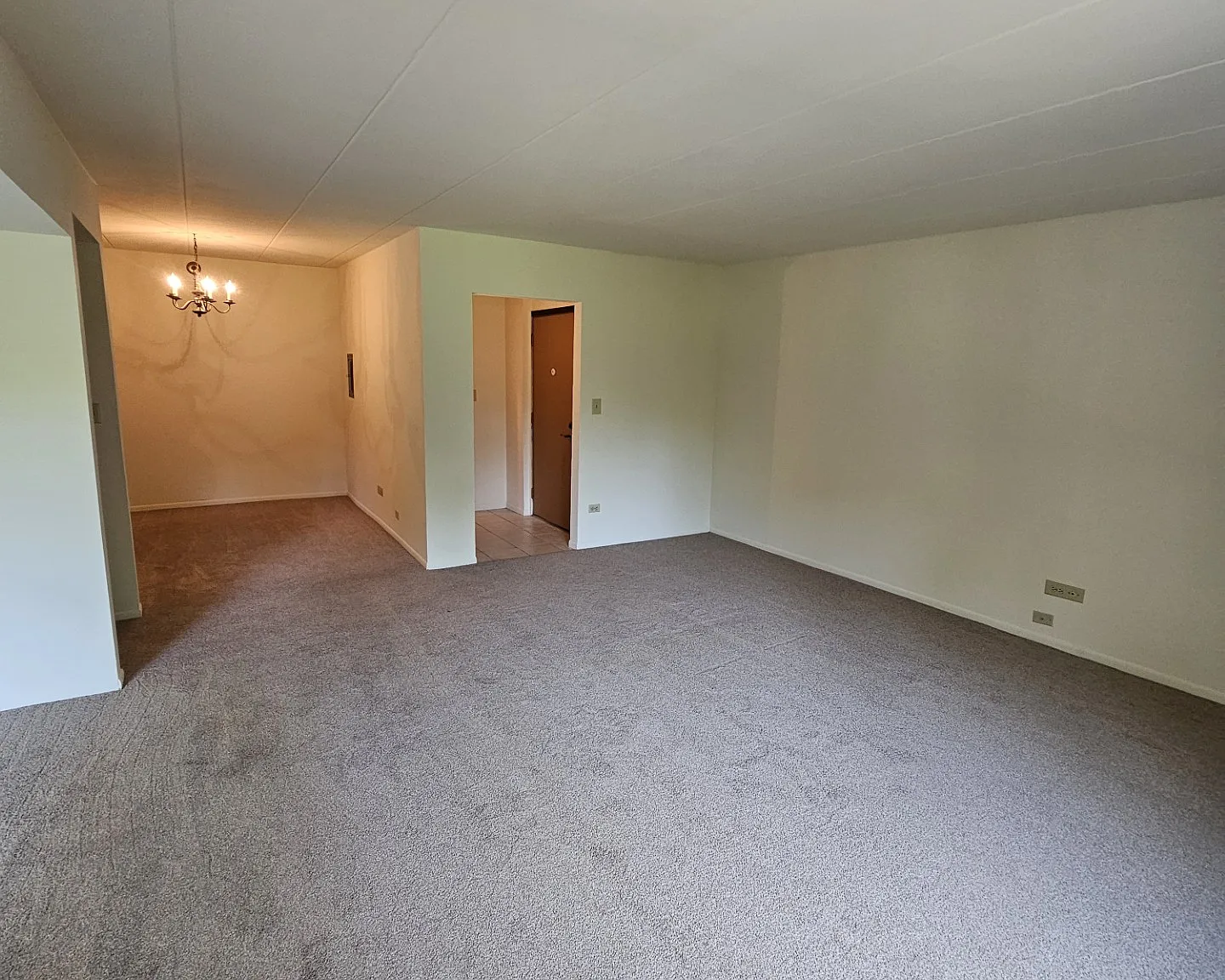 2 bed, 1330 sqft, $1,390 — Photo 4