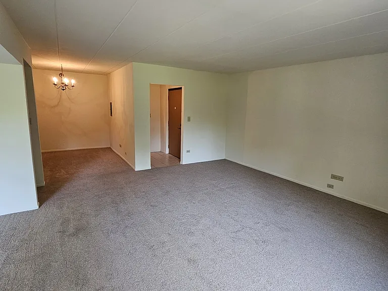 1601 Anna St #7 — Photo 4