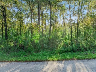29 N ROOKS AVENUE LOT 40, Inverness, FL, 34453