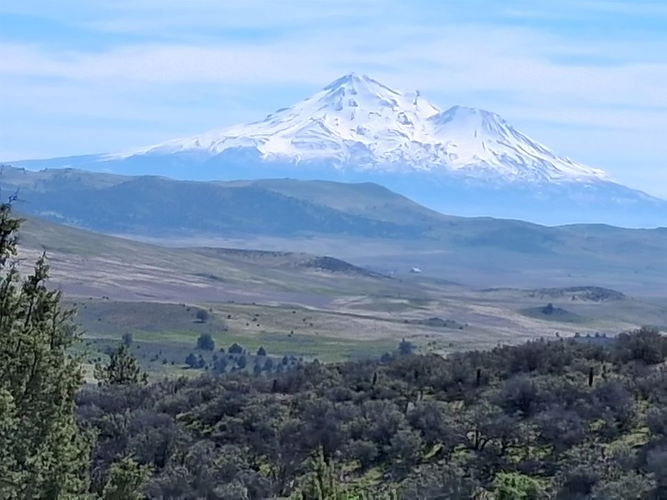 1st image of LOT 768 Ruff Way