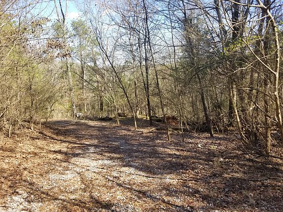 3rd image of 945 Blackberry Ridge Dr