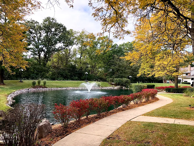 Beautiful Ponds