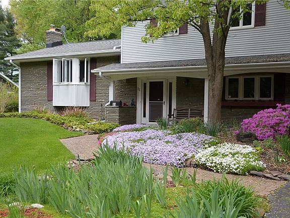 3rd image of 11 Courtenay Cir