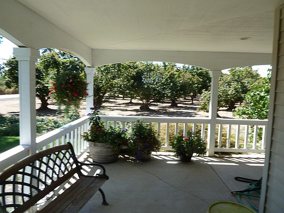 View of orchard from porch