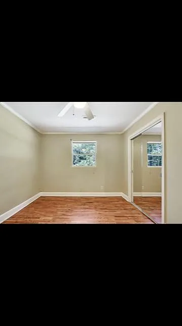 4 bed, 1764 sqft, $2,900 — Photo 4