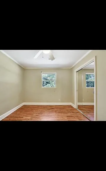 1333 French Rd — Photo 4