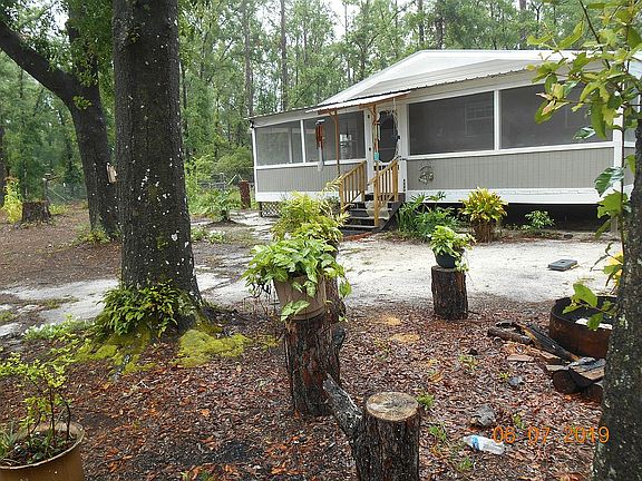 Lots of live oaks