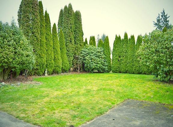 5th image of 1114 8th Ave NW