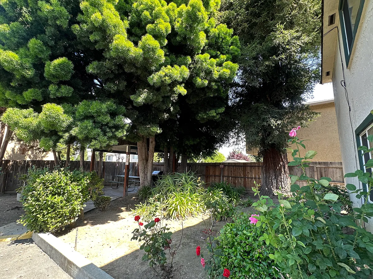 Building Photo - 1360 Calabazas Blvd #3