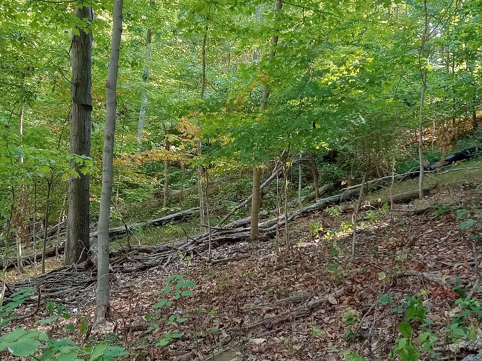 2nd image of 2 Beechwood Dr