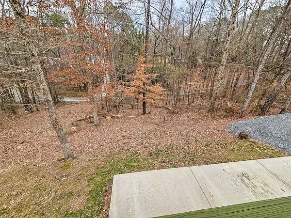 173 Warlick Dr — Photo 49