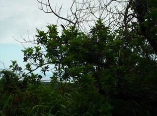 Pele LOT 5, Naalehu, HI 96772