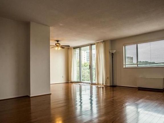 Living room empty walls are green