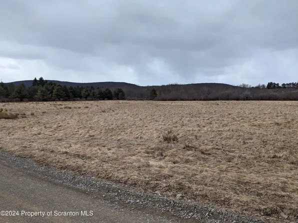 Padwa Rd, Pleasant Mount, PA 18453