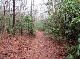 Fire Station Rd, Elizabethton, TN 37643