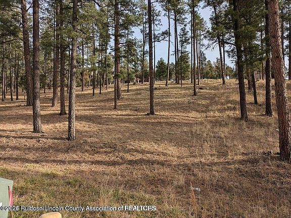 5th image of 322 White Mountain Meadows Dr