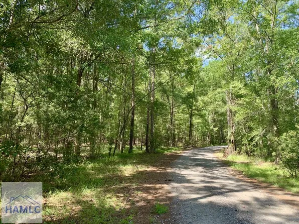 LOT 16 Lake No No Rd, Midway, GA 31320