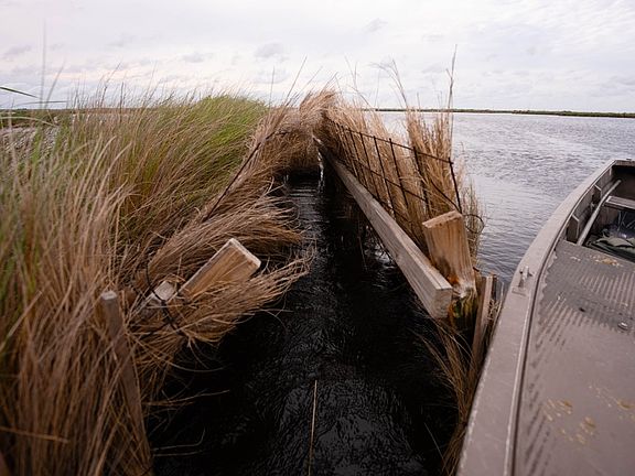 2nd image of Brackish Water Marsh In Sw Louisiana Lot Wp001