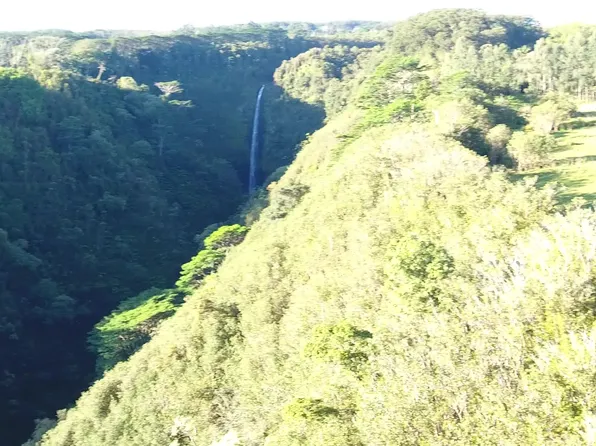 Kaiwiki Homestead Rd, Hakalau, HI 96710