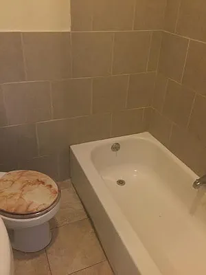 Rented by Nest Seekers International | media 16