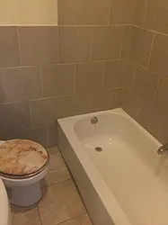 Rented by Nest Seekers International