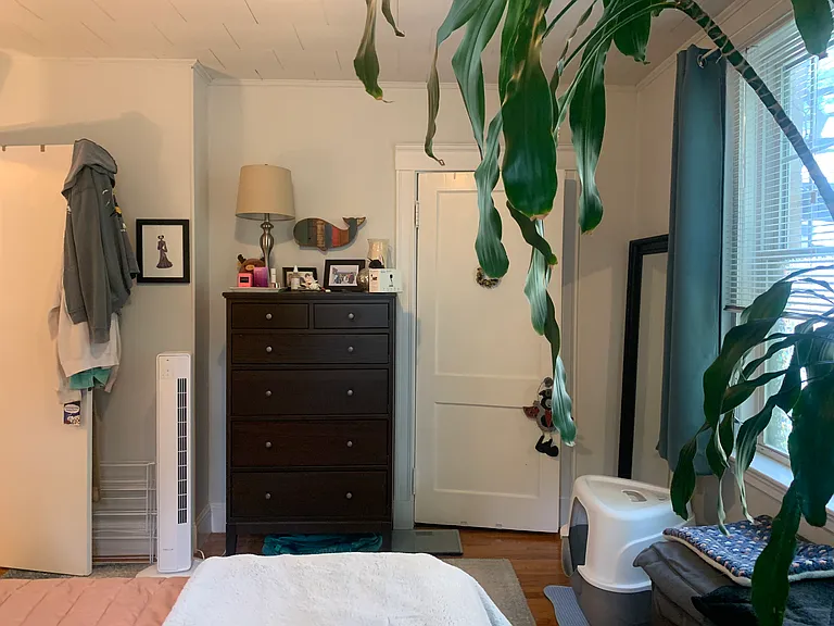 48 Robinwood Ave #3 — Photo 23