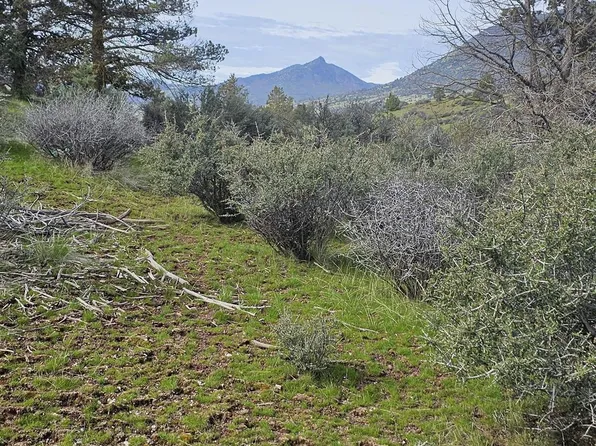 Lark St, Hornbrook, CA 96044