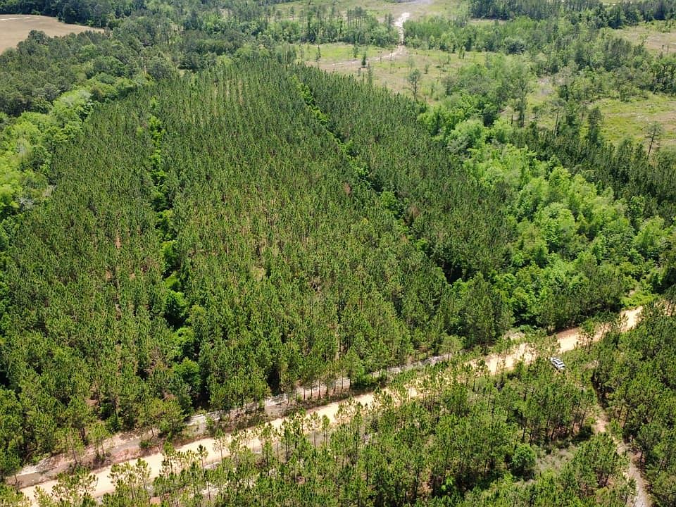 Dji Fly 20260430 125214 304 1777568013582 Photo Optimized