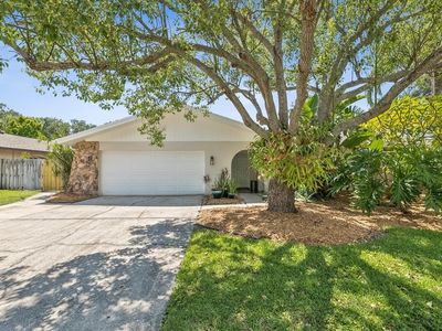 1864 Brae Moor Dr, Dunedin, FL, 34698