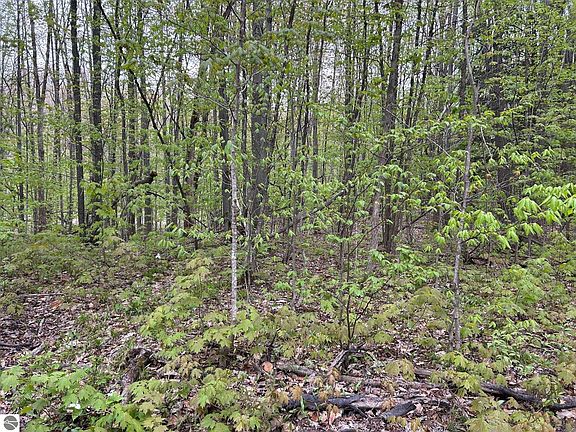 4th image of Lost Lake Rd