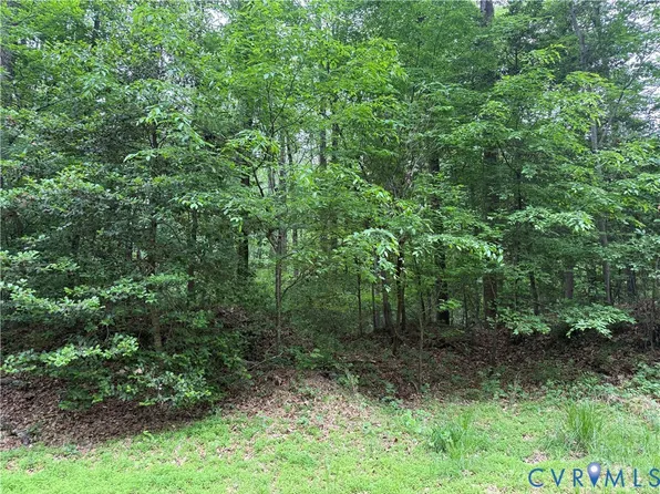 0 Steel Trap Rd, New Kent, VA 23124