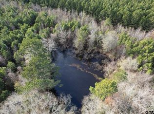 TRACT County Road 4037 #D, Timpson, TX 75975