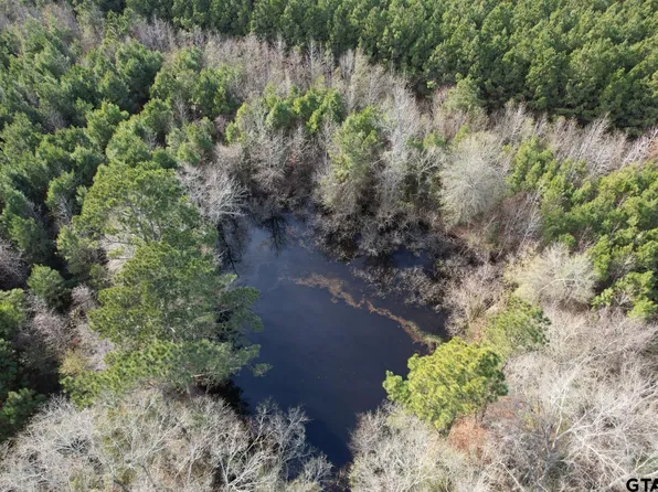 TRACT County Road 4037 #D, Timpson, TX 75975