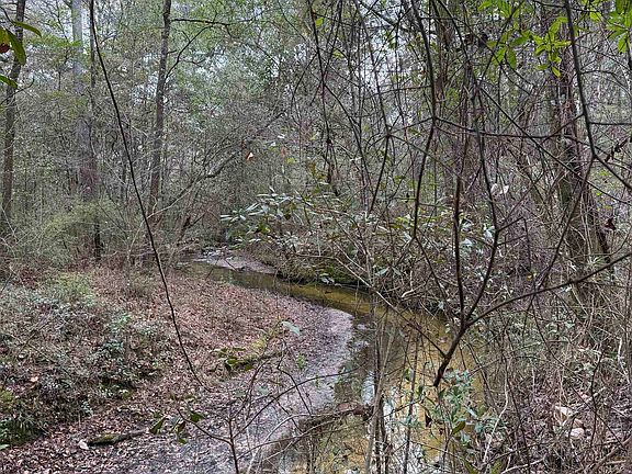 5th image of Xxx Shady Rest Rd