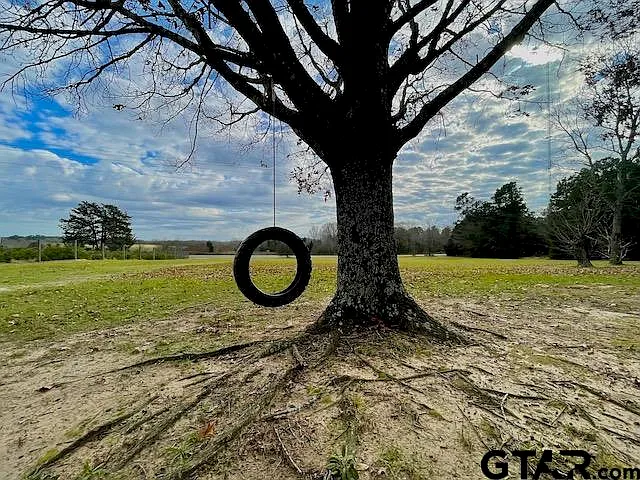 10121 Fm 855 W photo 1