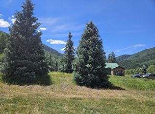 130 N River St, Rico, CO 81332