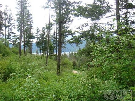 Crumps      June 1 004