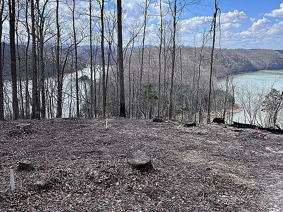 3rd image of Rindler Rdg