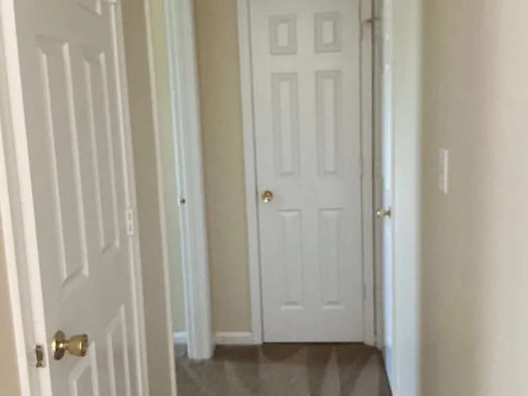 910 Dolphin Ln — Photo 15