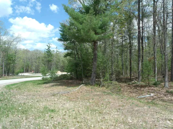 Wintree Dr, Indian River, MI 49749
